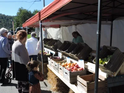 Wellsburg was all about the apple for annual festival